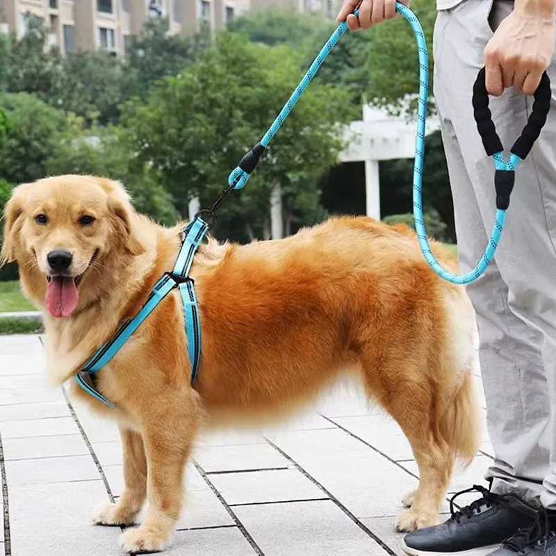 120/150/200/300 cm starke Hundeleinen mit weichem Griff, reflektierende Leine für große, kleine und mittelgroße Hunde – Detail 7
