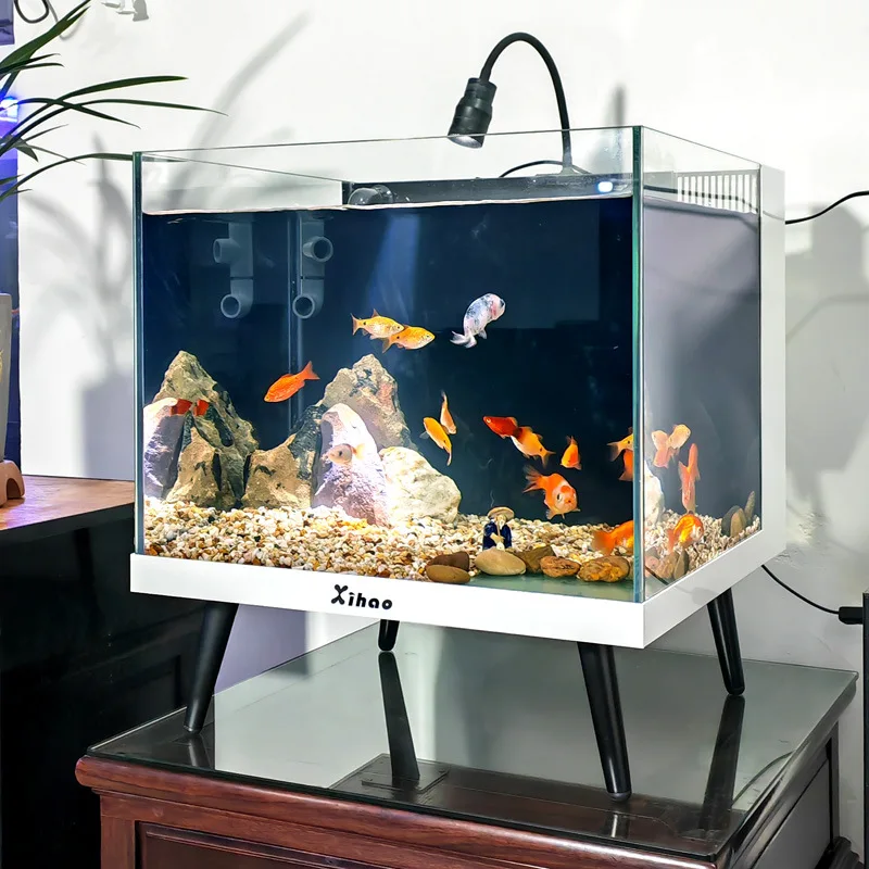 

Living room water-free small aquarium ecological landscaping aquatic plant tank