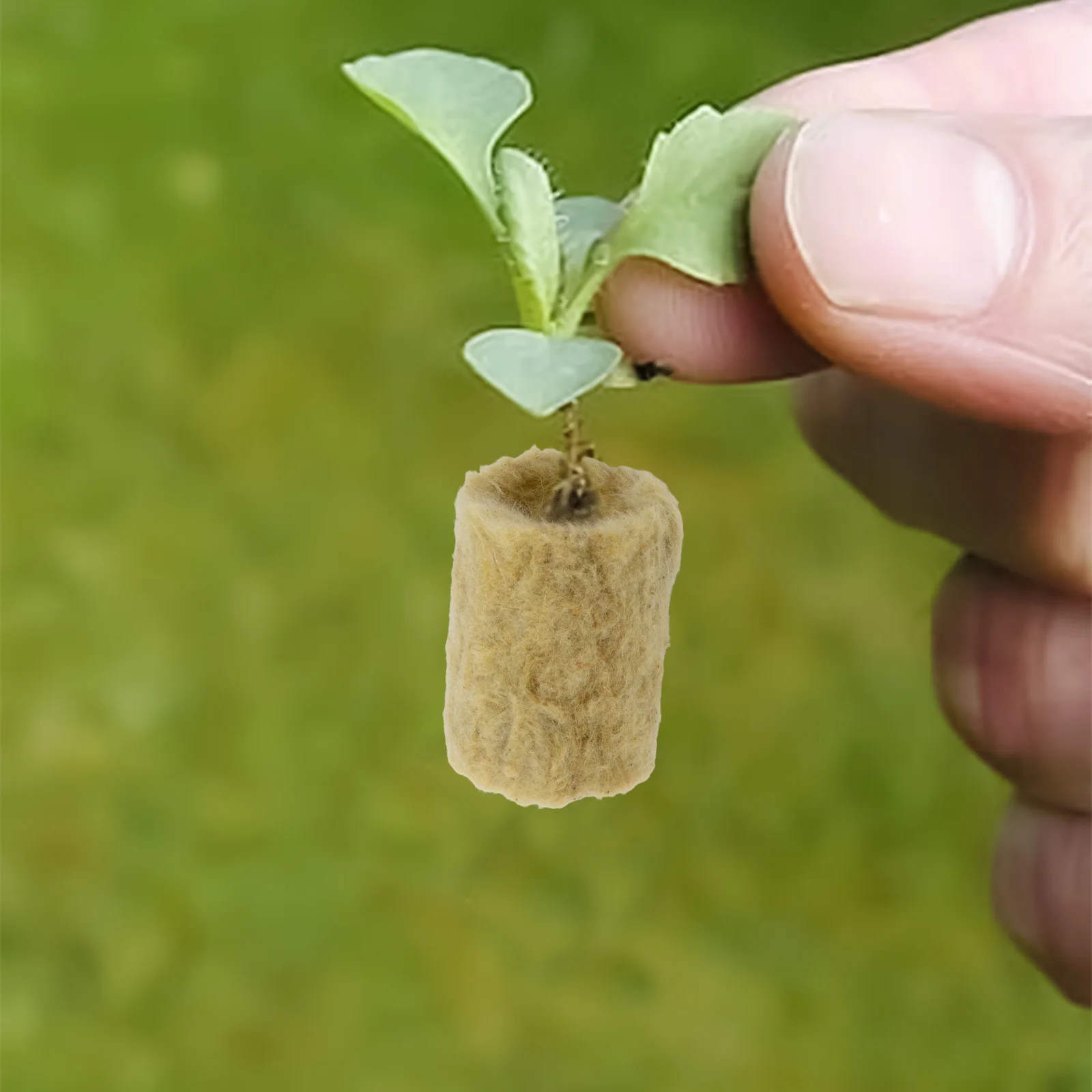 Easily Integratable Rock Wool Substrate Set of Fifty or Hundred Pieces at Size Twenty Seven by Twenty Millimeters
