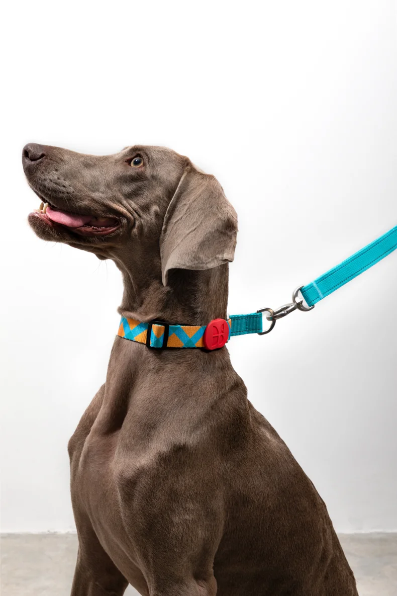 Dog Half P Collar Dog Ring Reflective Strong Choker Training Collar Dog For Small Big Dogs Anti Pull Plaid Polyester Adjustable