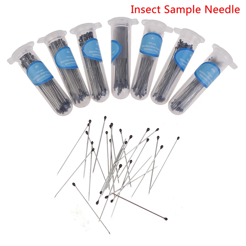 Aguja de acero inoxidable para espécimen, alfileres de insectos con caja de plástico para laboratorio escolar, educación, entomología, suministros de disección corporal, 100 piezas