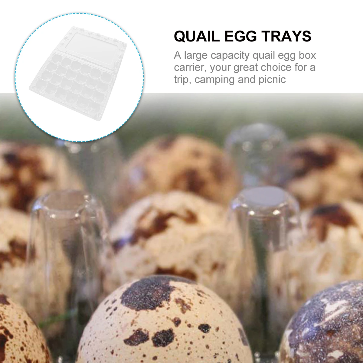 

12 pcs Quail Egg Box Clear PET Food Grade Reusable Mini Cartons Eggs Storage Friendly Compact Size Home Use