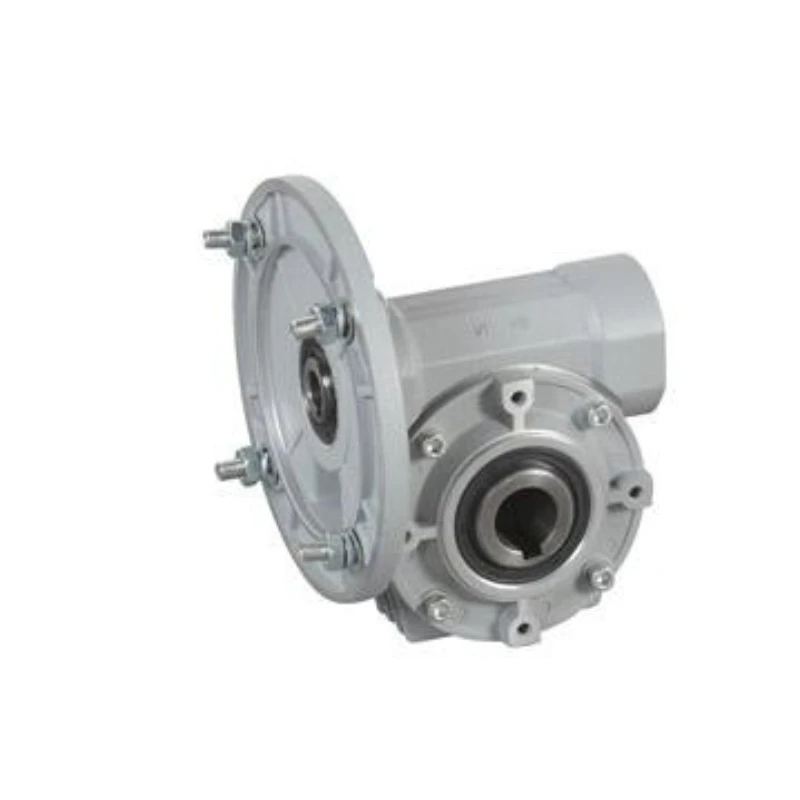 /VF49/63 worm gear reducer motor instead of Bonfili