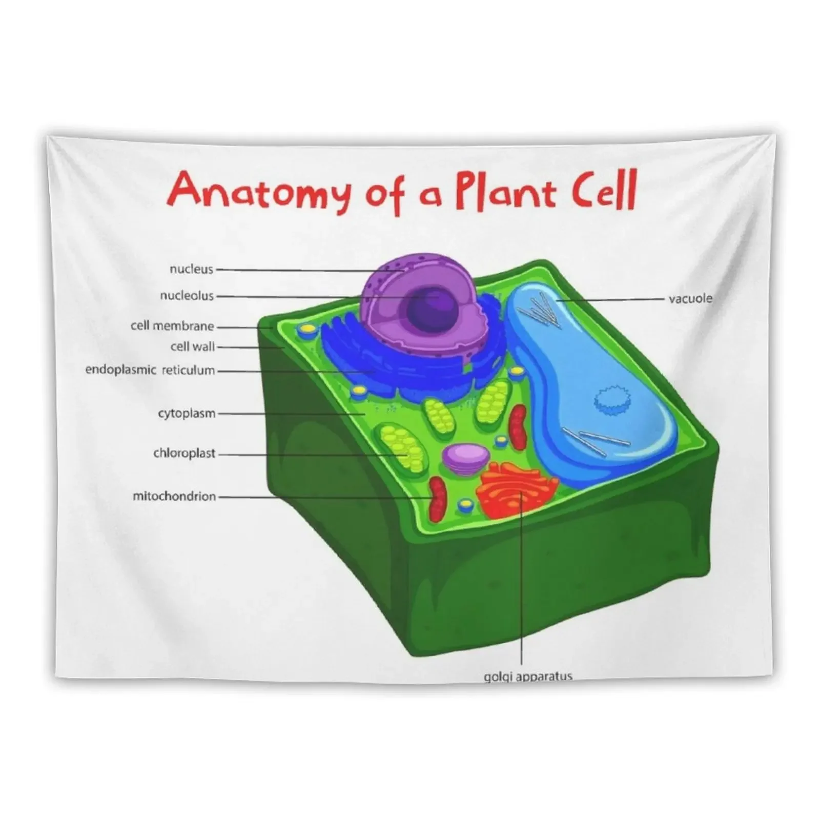 

Anatomy of a Plant Cell Tapestry Wall Hanging Decor Room Decorating Aesthetic Room Decoration Aesthetic Tapestry