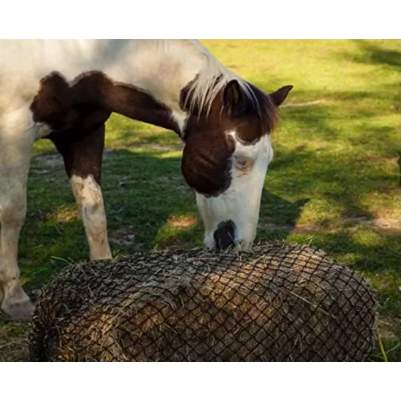 معدات تغذية الحصان ذات التغذية البطيئة الكبيرة للبالات المستديرة #1