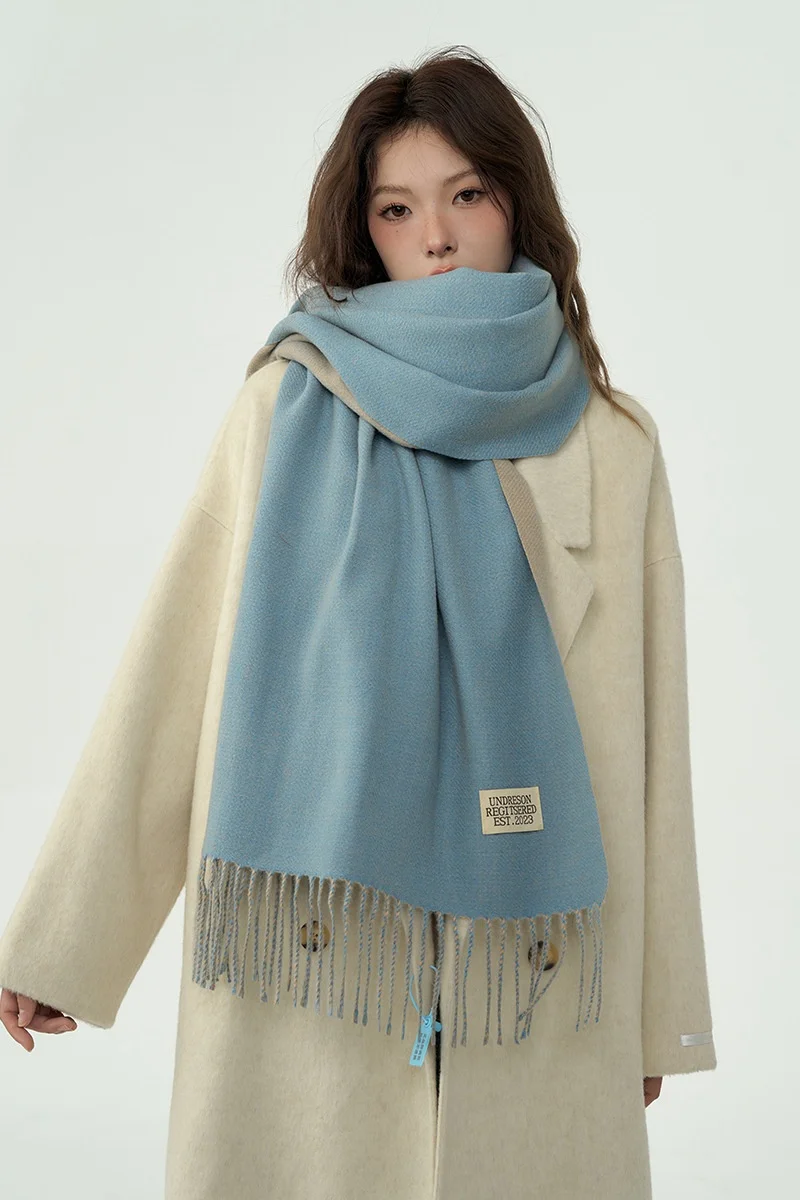 Solid Color Double-Side Cashmere Winter Women Scarf Korea Style Warm Shawl Outdoor Neckerchief Pashmina Tassel Lady