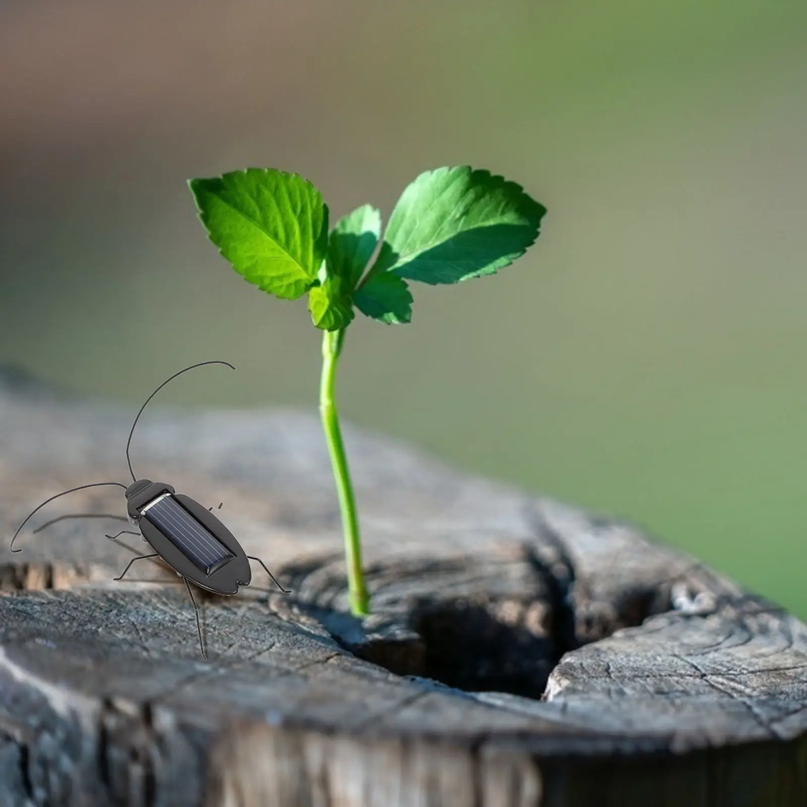 

2 шт. Яркие игрушки-насекомые на солнечной энергии, забавные имитационные игрушки, развивающие игрушки на солнечной энергии, из АБС-пластика, для детей, прикольные