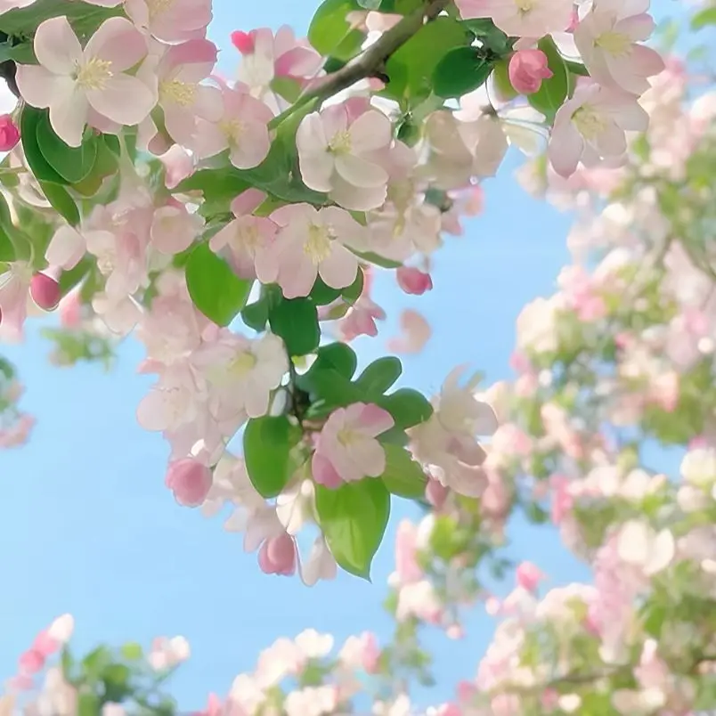 جديد القوة الكهرومغناطيسية حلقة تحفيز العلاج علاج الإصابات الرياضية التهاب المفاصل لتخفيف الآلام آلة إعادة التأهيل البدني #1