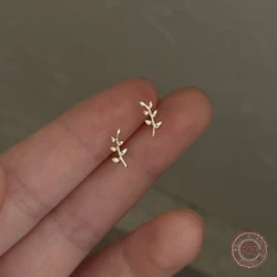 S925 Sterling Silver Branches Stud Earrings for Women Temperament Mini Leaves Earring Plated 14k Gold Fashion Jewelry