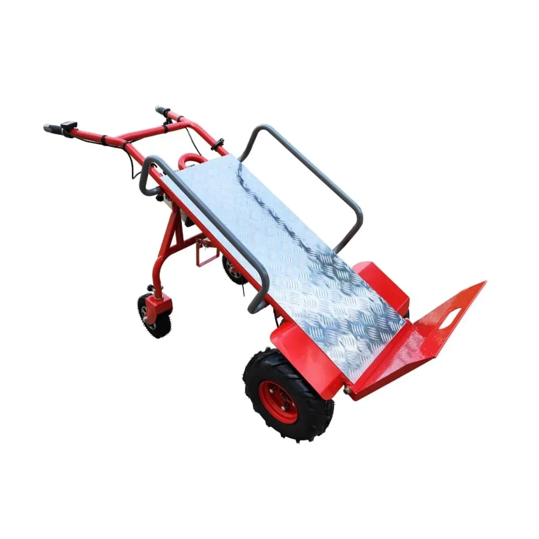 

Electric Trolleys and Trolleys for Factories Or Warehouses