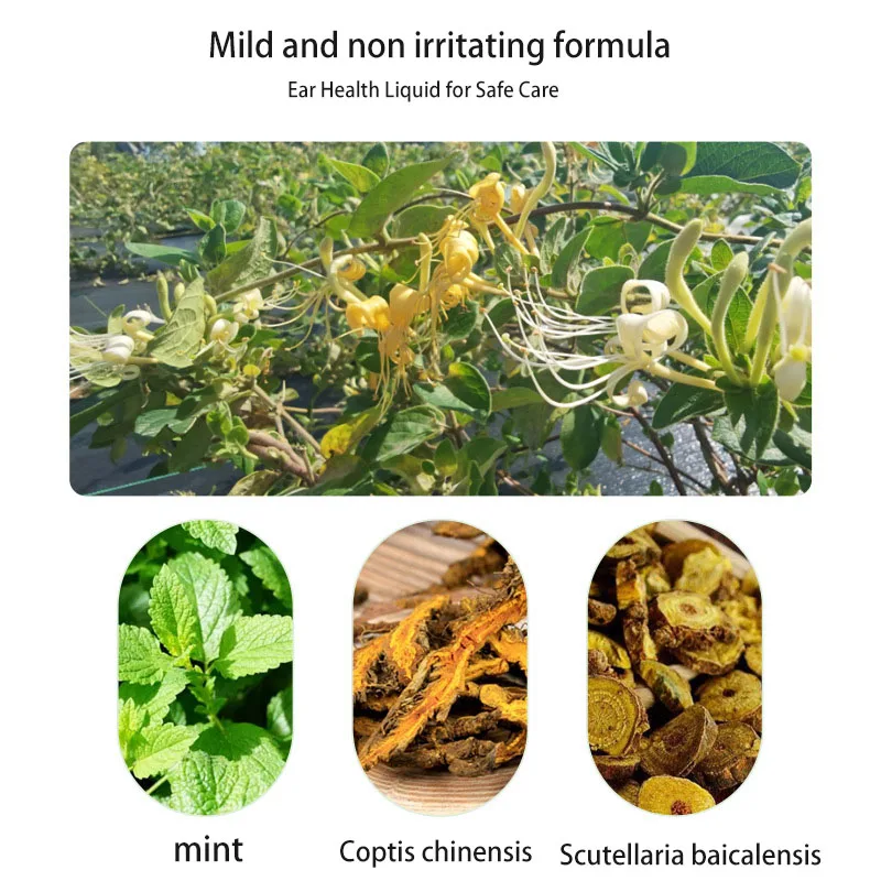 Erkang Gezondheidsoplossing, Zoemend Oor, Jeuk, Oorongemak, Uitwendige Oordruppels