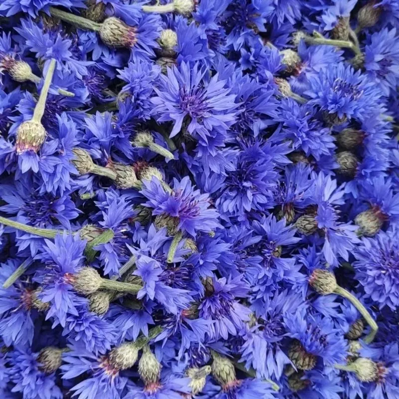 

Top Natural Cornflower Dried Flowers For Diy Crafts Soap Wedding Candle Making Sachet Filling Home Garden Livingroom Decor
