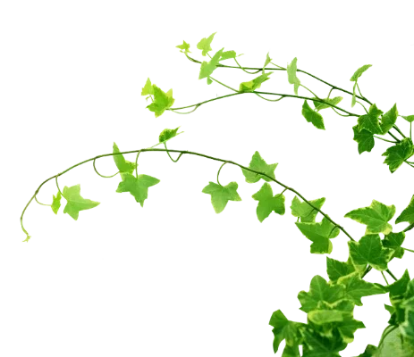 

550ml/850ml Professional Bartender Custom Engraving Stainless Steel Cocktail Shaker Boston Bar Shaker Bar Tools