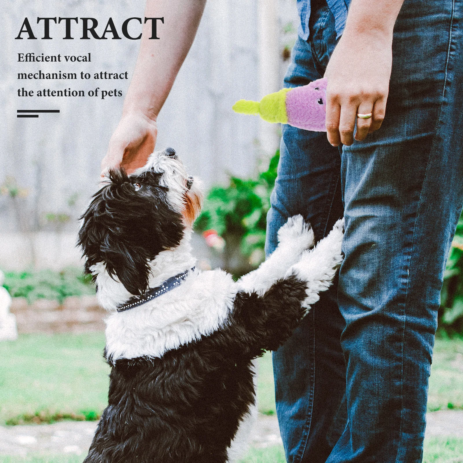 

1pcs Pet Squeaky Vegetable Design Soft Chew Sound For Dogs Cats Interactive Play Durable Lightweight Dog Puppies