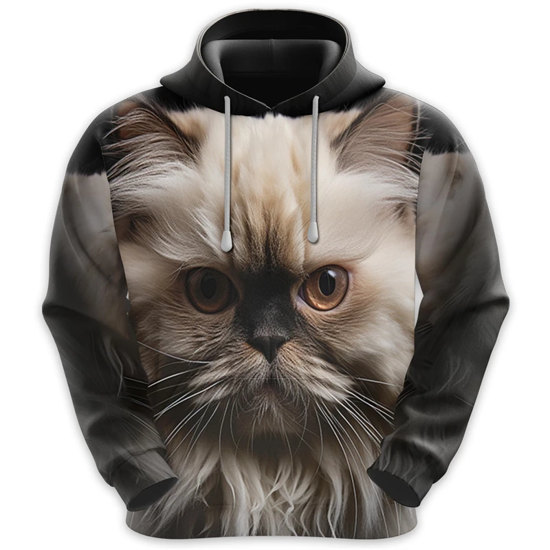 Scottish Fold Graphic Sweatshirts Women Clothes Cat Face Design Hoodies For Men Funny Cats Tracksuit Shorthair Hoodie Unisex Top