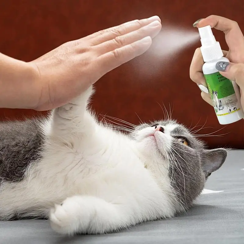 Catnip Spray For Indoor Cats pet Calming Spray Kitten deterrent Comforting Calm Down Anti Soothing For Training Redirecting