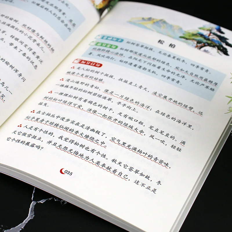 1000 Examples of Excellent Words, Sentences, Paragraphs, and Beautiful Paragraphs for Elementary School Students