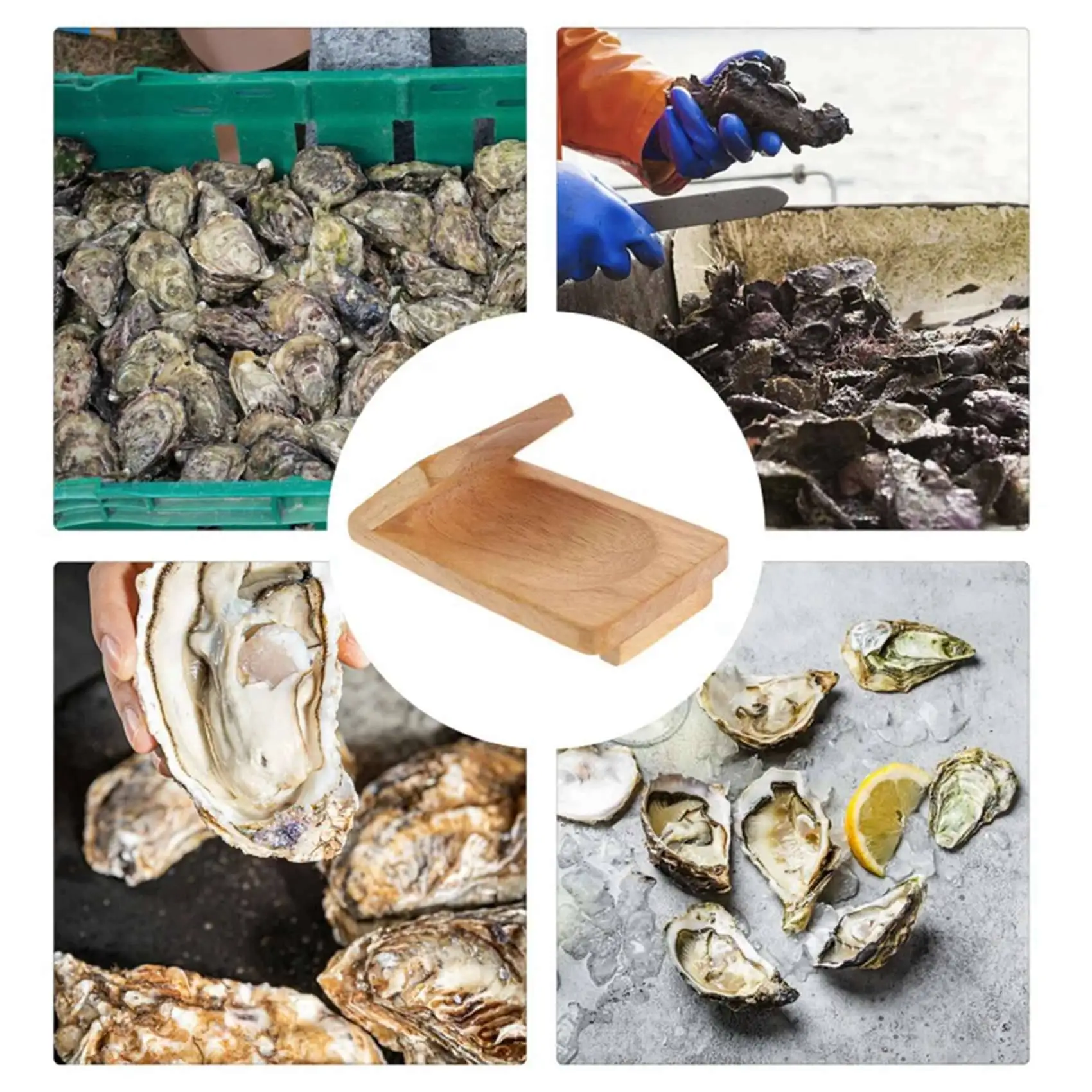 AS60-2X Oyster Shucking Opener Shucker Seafood Clamp Tool Holder Shellfish Hand Clam Shellcrab Sheller