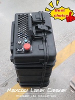 Top Quality Mini laser cleaner Handheld cleaning metal rust wood paint wall dirt Laser cleaning machines in stock
