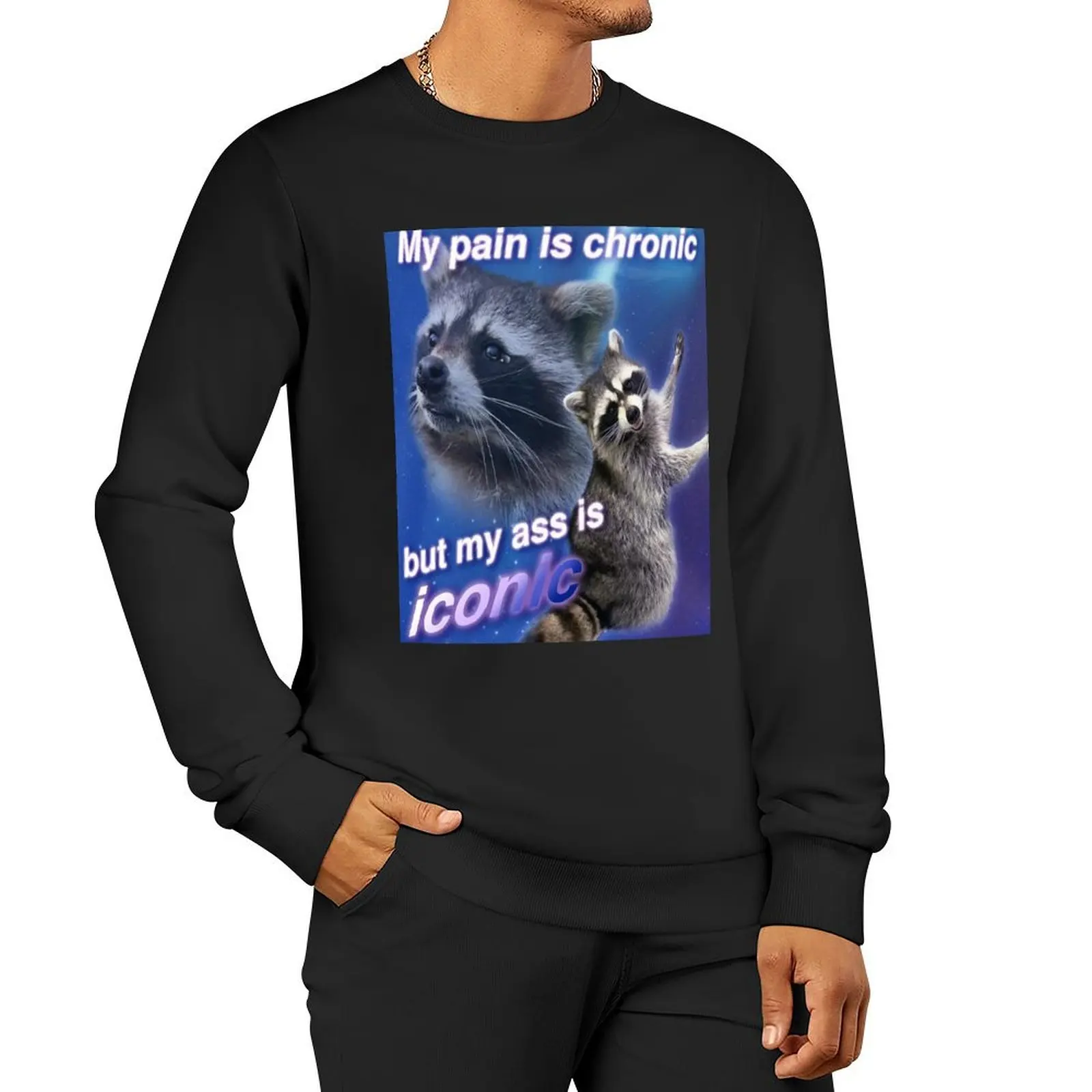 

My Pain is Chronic but my A is Iconic Sweatshirt men's clothing sports sweatshirt man