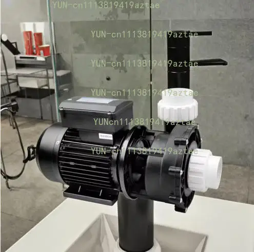 2.0HP WP200 2-speed Hydromassage WP200-II SPA Pump Pool Bath Tub Jet Pump