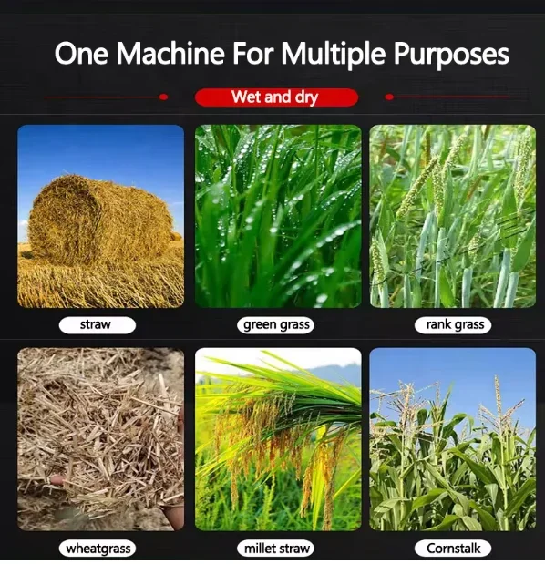 المصنع مباشرة توريد سيلاج العشب آلة قطع القشر 220 فولت الدواجن الماشية والخيول معالج تغذية الحيوانات جزازة قش الذرة