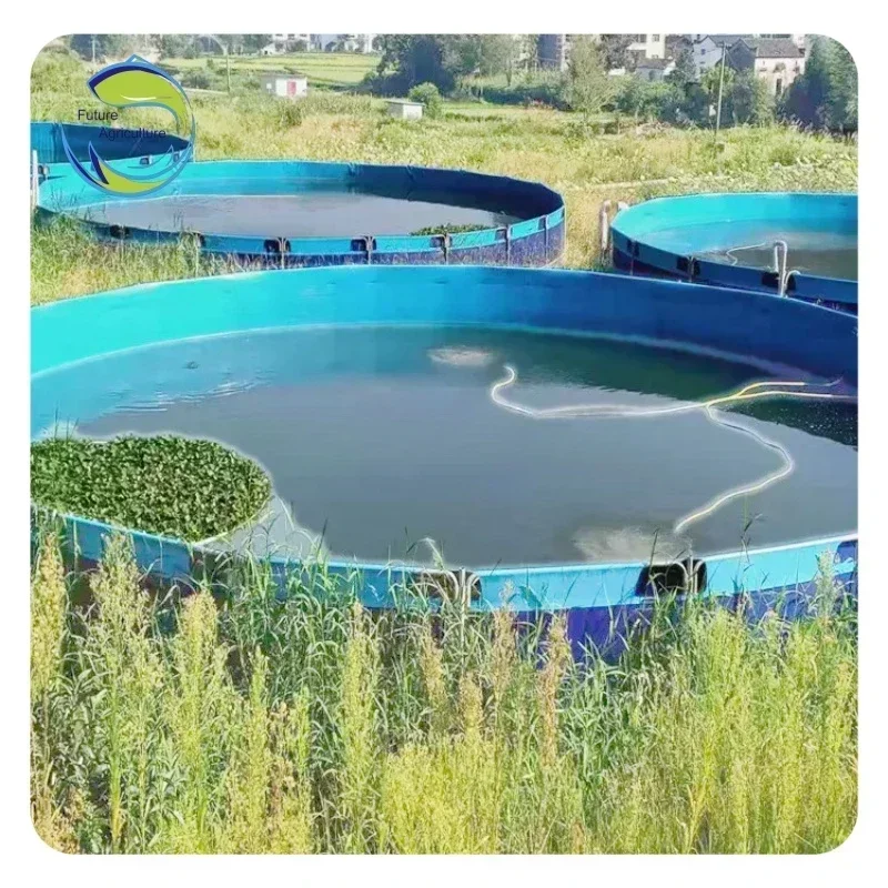 Hot Selling Fish Tanks Farm Aquaculture Large Bac Hors Sol Poisson Pisciculture Fish Pond Tarpaulin