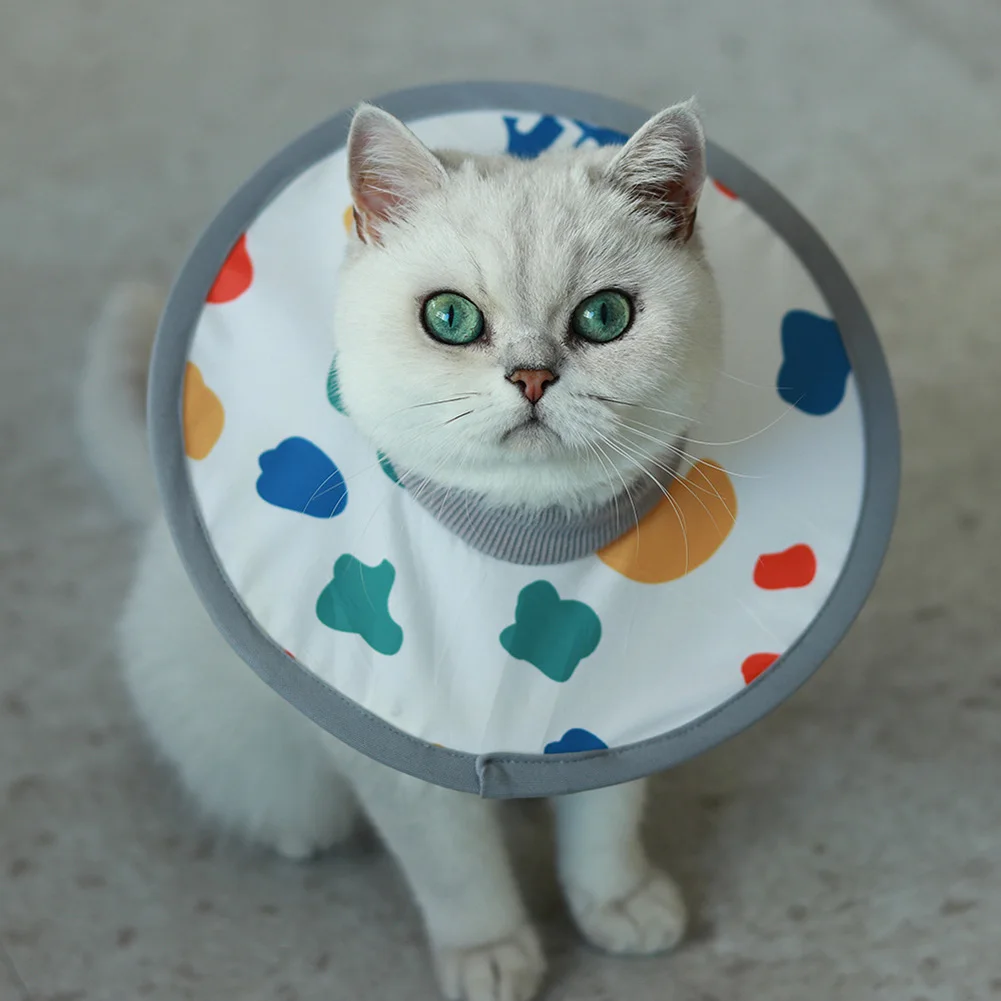 Cat Recovery Collar Protective Adjustable Pet Cone Collar For After Surgery Lightweight Elizabethan E Collar For Cats