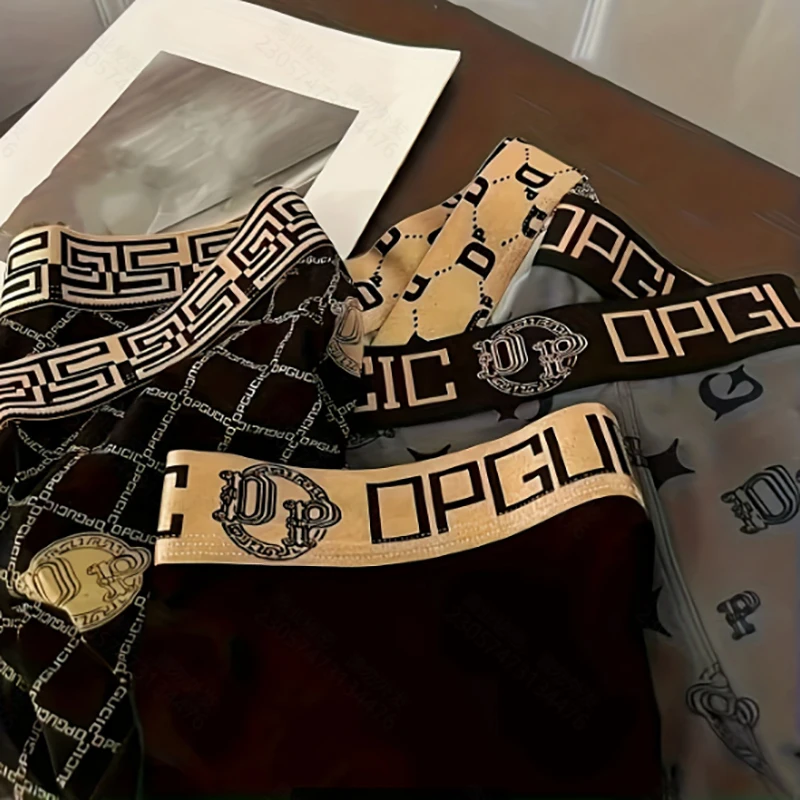 

4 Pack Random Men's Polyester Boxer Briefs Fashion Printed Waistband Stylish Comfortable Underwears