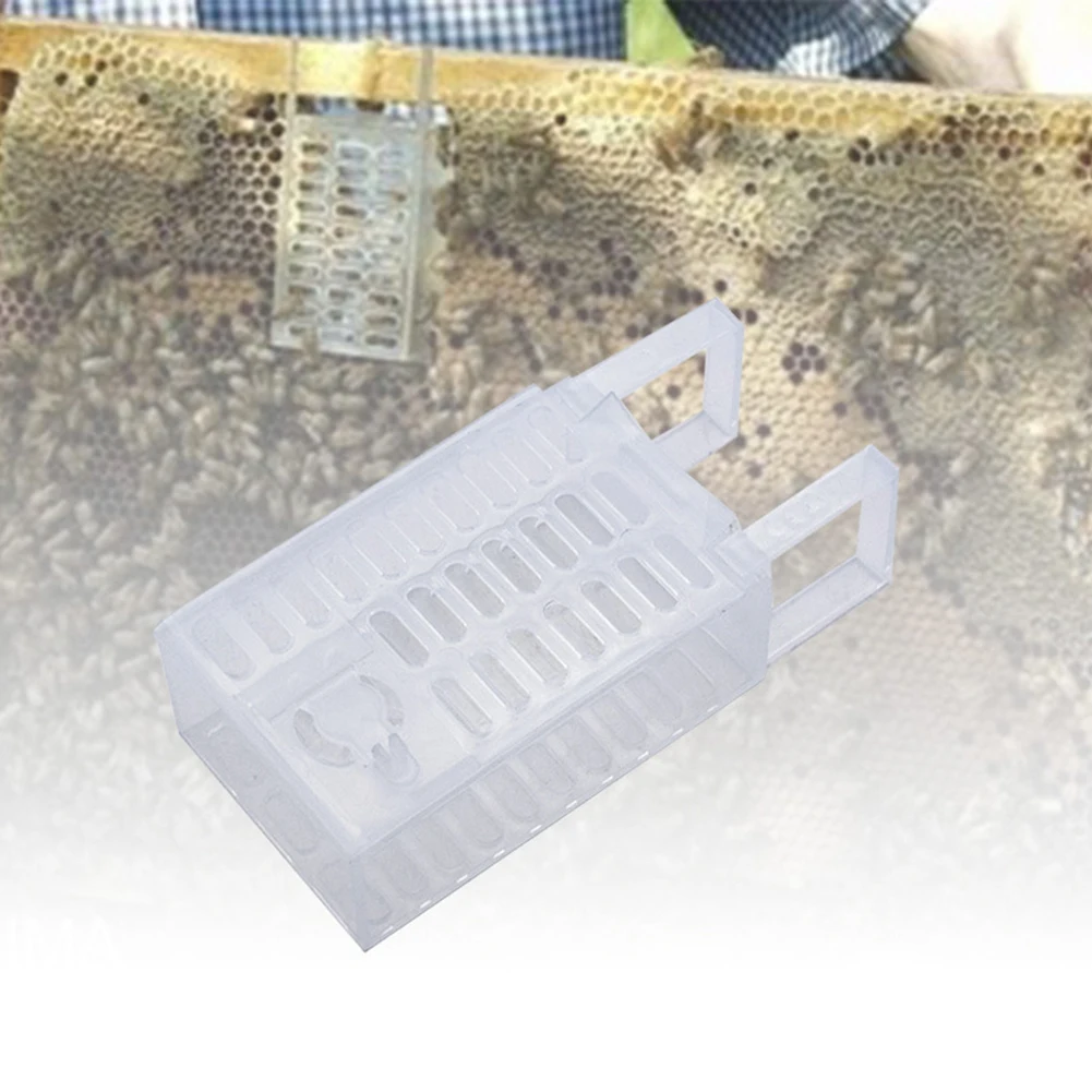 Herramientas de Control de Varroa de apicultura 75STO, jaula de reina de abejas para contra Varoa, Control de roturas de cebolla, suministros de colmena Varroa