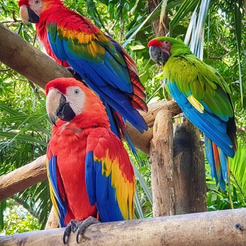 

Передний приводной вал CVD FSR 239022, универсальный шарнир, МОДЕЛЬ TT 1/7, DESERT STORM, SHORT Course TRUCK, радиоуправляемые бегуны