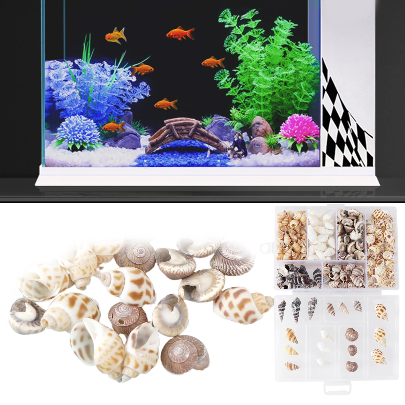 1Pc/1Set Small Rare Real Sea Shell Conches Gift Natural Sea Shells Sea Urchin Shell Eco-friendly Fish Tank Aquarium Decorations