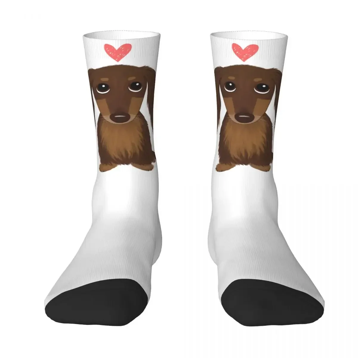 Cute Dog Longhaired Chocolate Dachshund Wiener Dog With Heart Socks Harajuku Super Soft Stockings All Season Long Socks