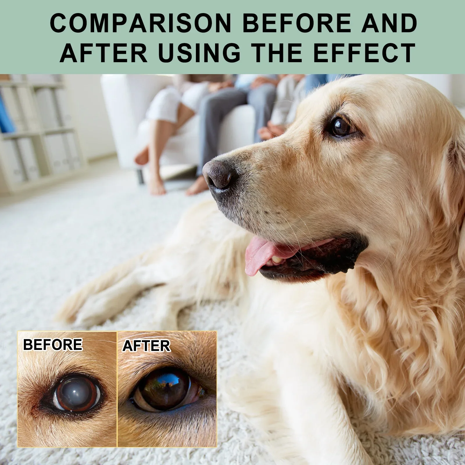 Yegbong Cat and Dog Eye Care Eye Drops, Pet Eye Cleaning Eye Care Eye Drops To Remove Tear Stains