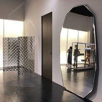 Standing Abnormity Mirror Modern Dressing Funky Full Body Aesthetic Mirror Irregular Big Funky Spiegel Wand Home Decorations