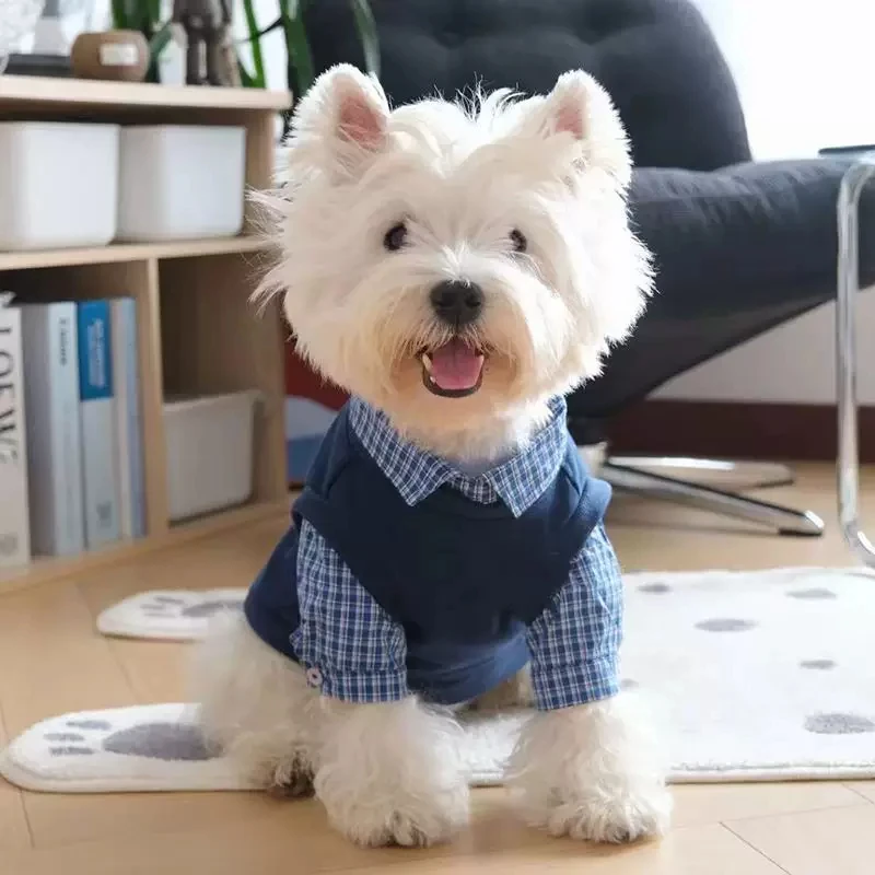 Ins Style Plaid Fleece Lined Pet Hoodie Winter Warm Clothes for Small Dogs - Schnauzer Bichon Shih Maltese Two Piece Fake Outfit