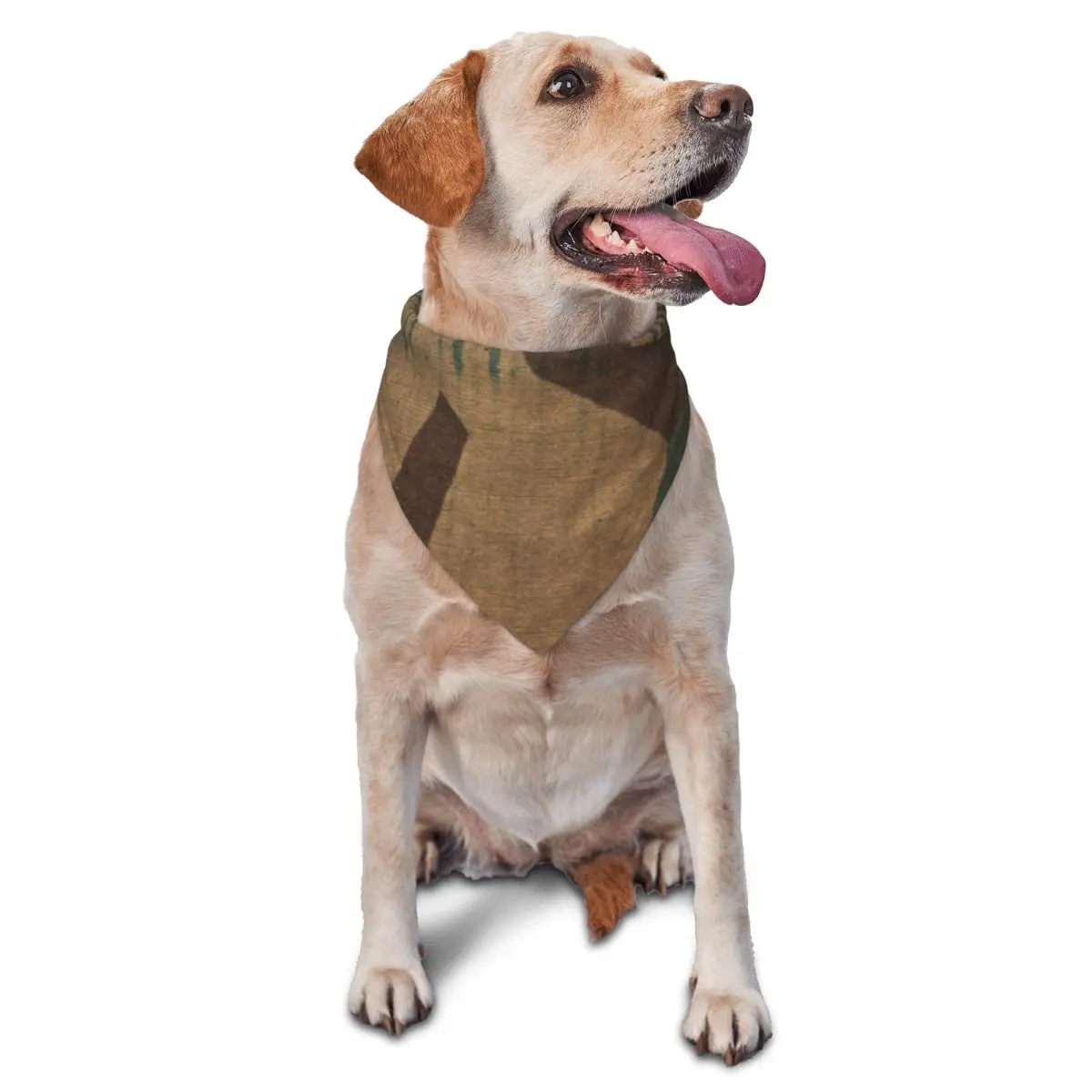 Splintertarn German… - image