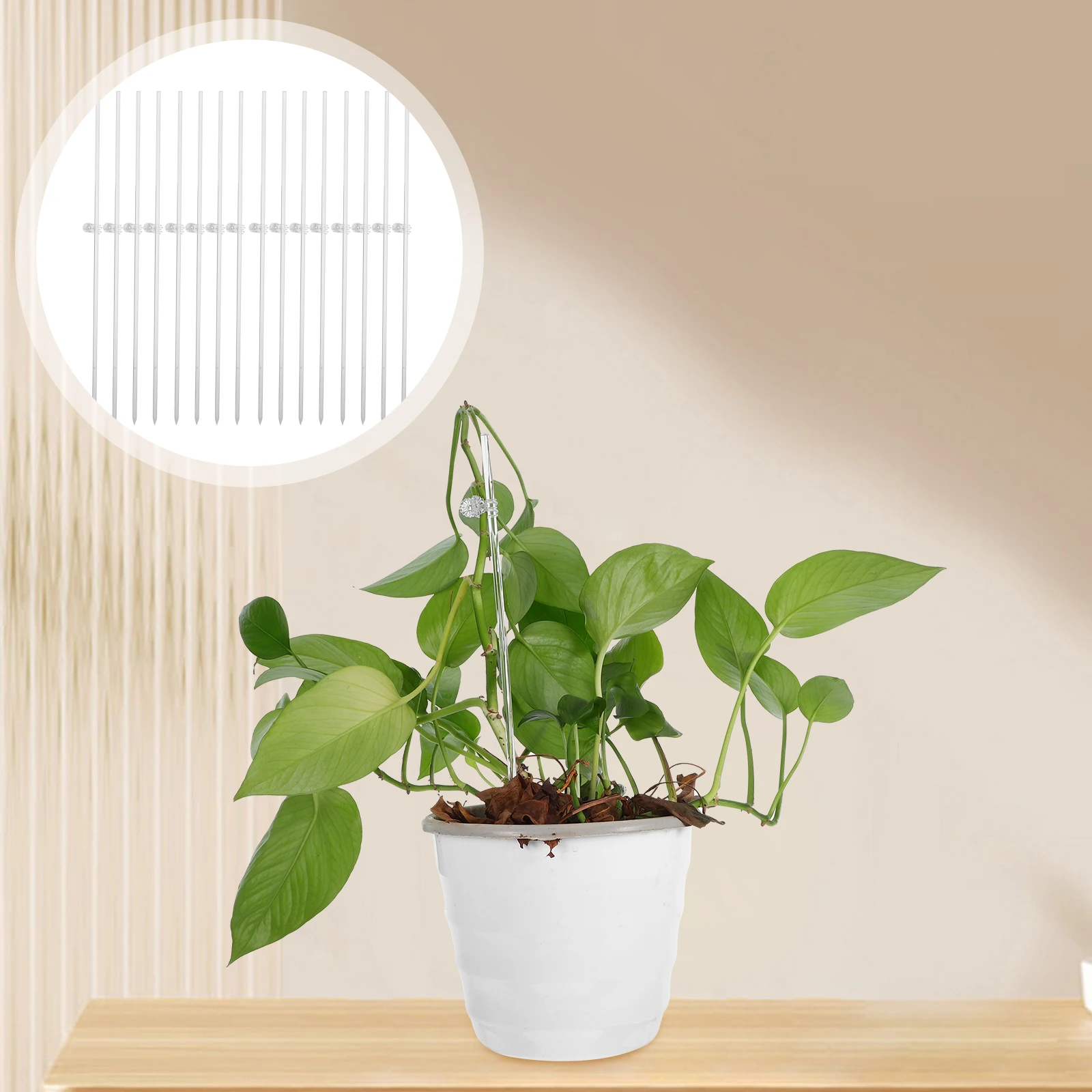 

16 Pcs Phalaenopsis Plant Climbing Bracket Acrylic Garden Single Stem Orchid Stakes Clear Plant Climbing Bracket Clip Set