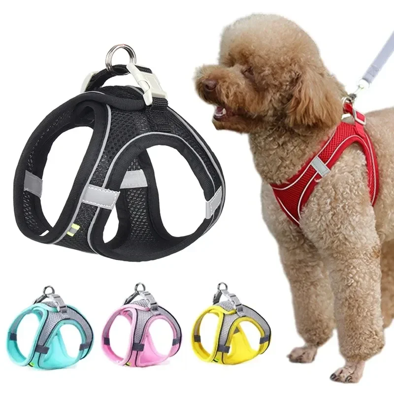 Upgrade your pet's wardrobe with this high-quality and durable set for daily walks, outdoor activities, and training sessions. K