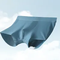 5pcs Elemental Ice silk antibacterial underwear, men's summer thin and breathable, men's quadrangle pants, men's trendy flat cor