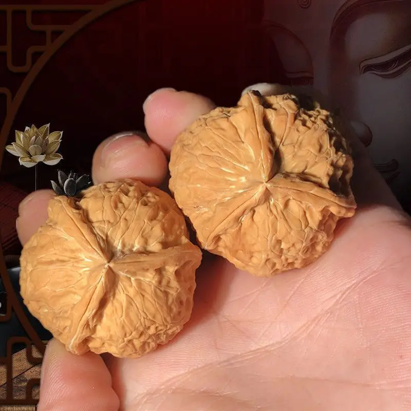 Wild-grown iron walnuts from old trees featuring a -pronged lion's head design with three ridges hand-painted quick to p