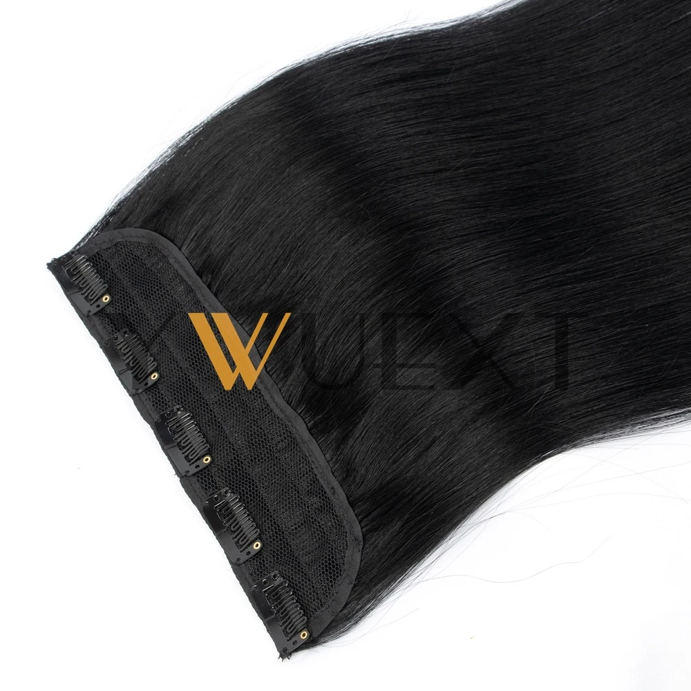 Clip in Human Hair Extensions One Piece 14-22 inches Natural Straight Highlight Blonde 5 Clips on Hair Weft Lightweight 40-60g