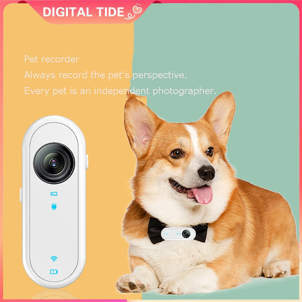 Cat Camera Collar with 32G Card, HD 1080P WiFi App Dog Collar, USB Rechargeable Adjustable Pet Camera Christmas Gift