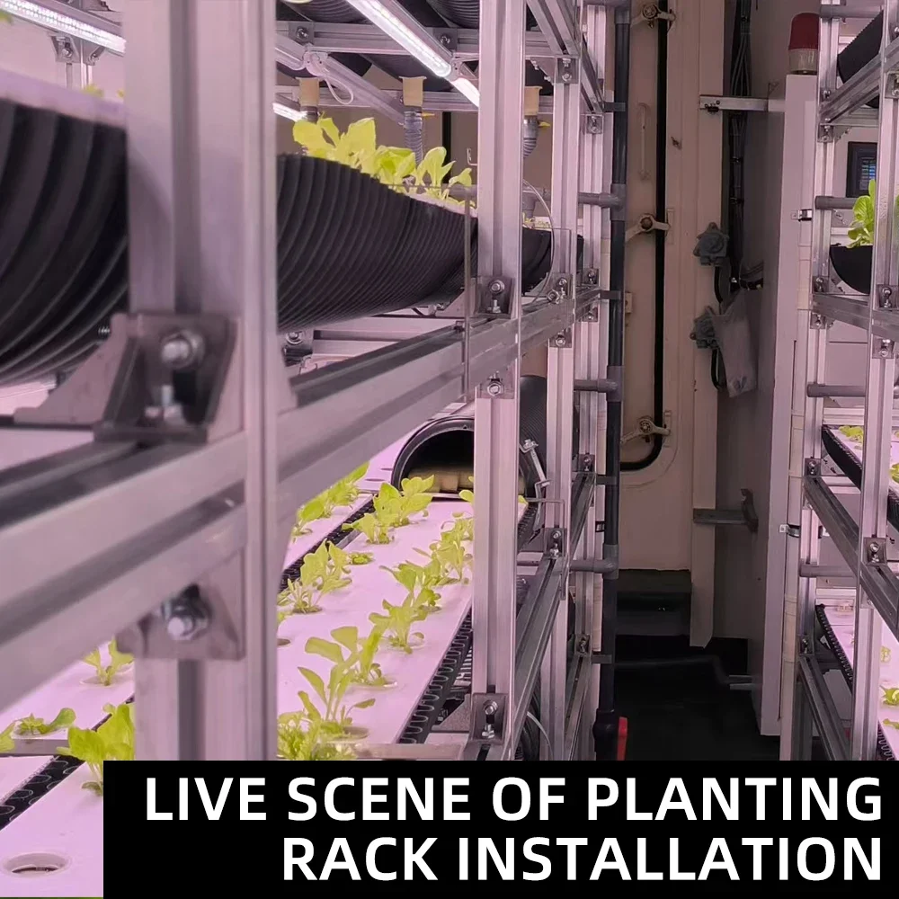 Automatic Aerial Hydroponic Farm Equipment with Lettuce Growth Pump