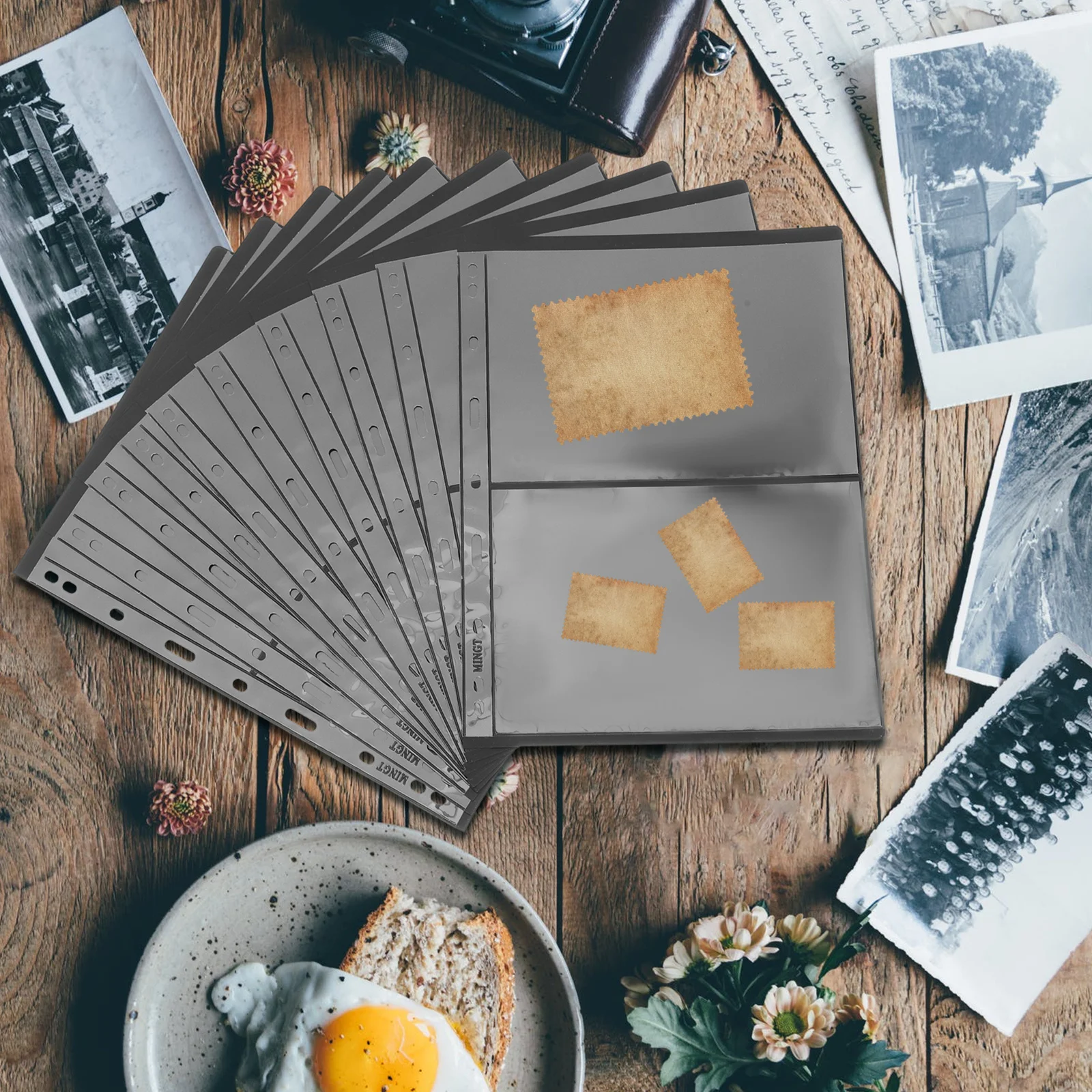 10 قطعة من صفحات الطوابع الواضحة الممتازة لحامل العملات المعدنية، مستلزمات تجميع العملات المعدنية، مستلزمات جمع الطوابع #6