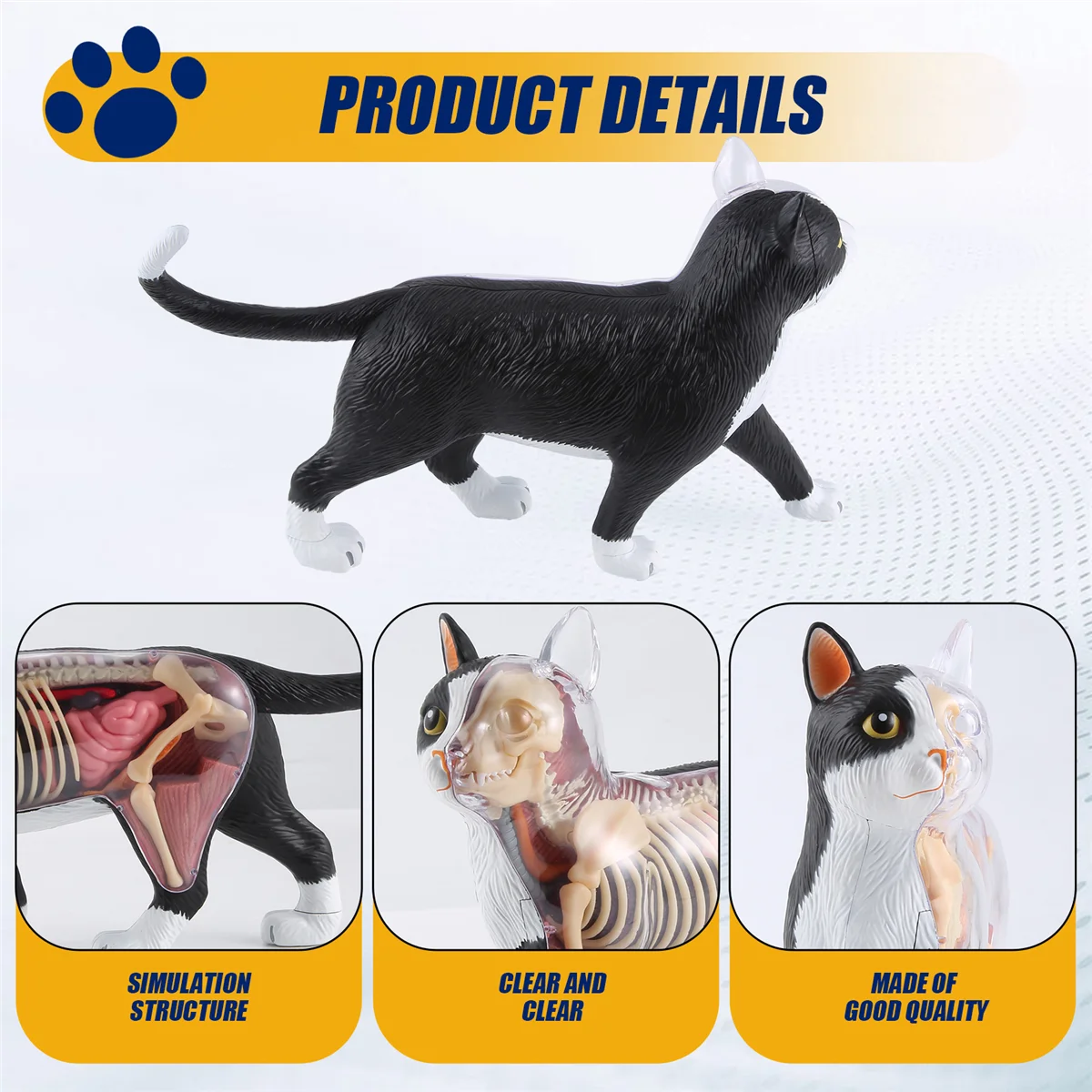 A51I Tier Orgel Anatomie Modell 4D Katze Intelligenz Montage Spielzeug Lehre Anatomie Modell DIY Geräte