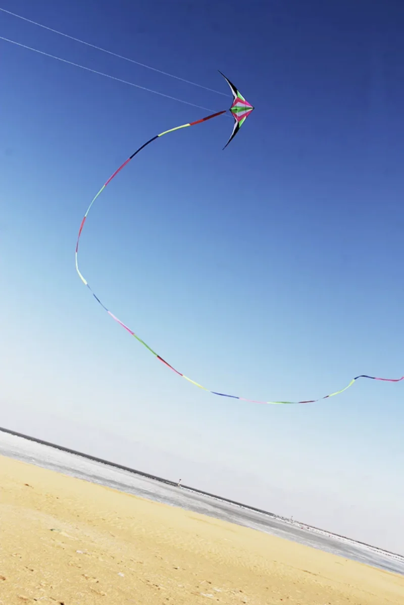 Darmowa wysyłka 2.4m podwójne linie kaskaderskie sportowe latawiec kite windsurfing latawce papalotes cometas grandes wiatraki