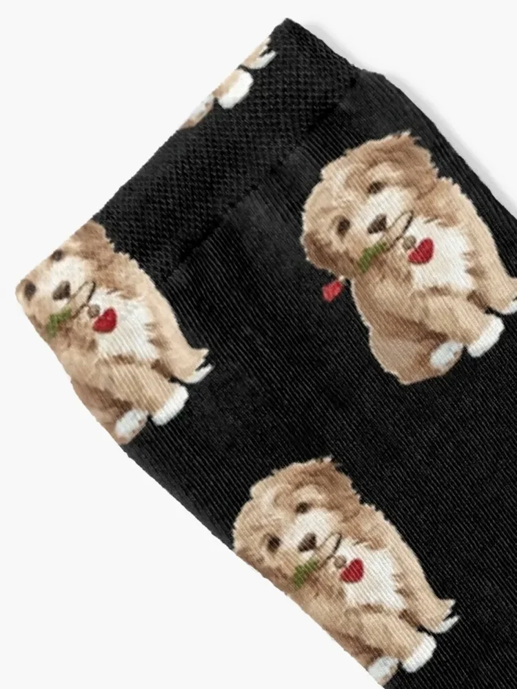 Mini Goldendoodle / Mini Labradoodle Love - A Bright and Colorful Watercolor Style Gift Socks gym Socks Women's Men's