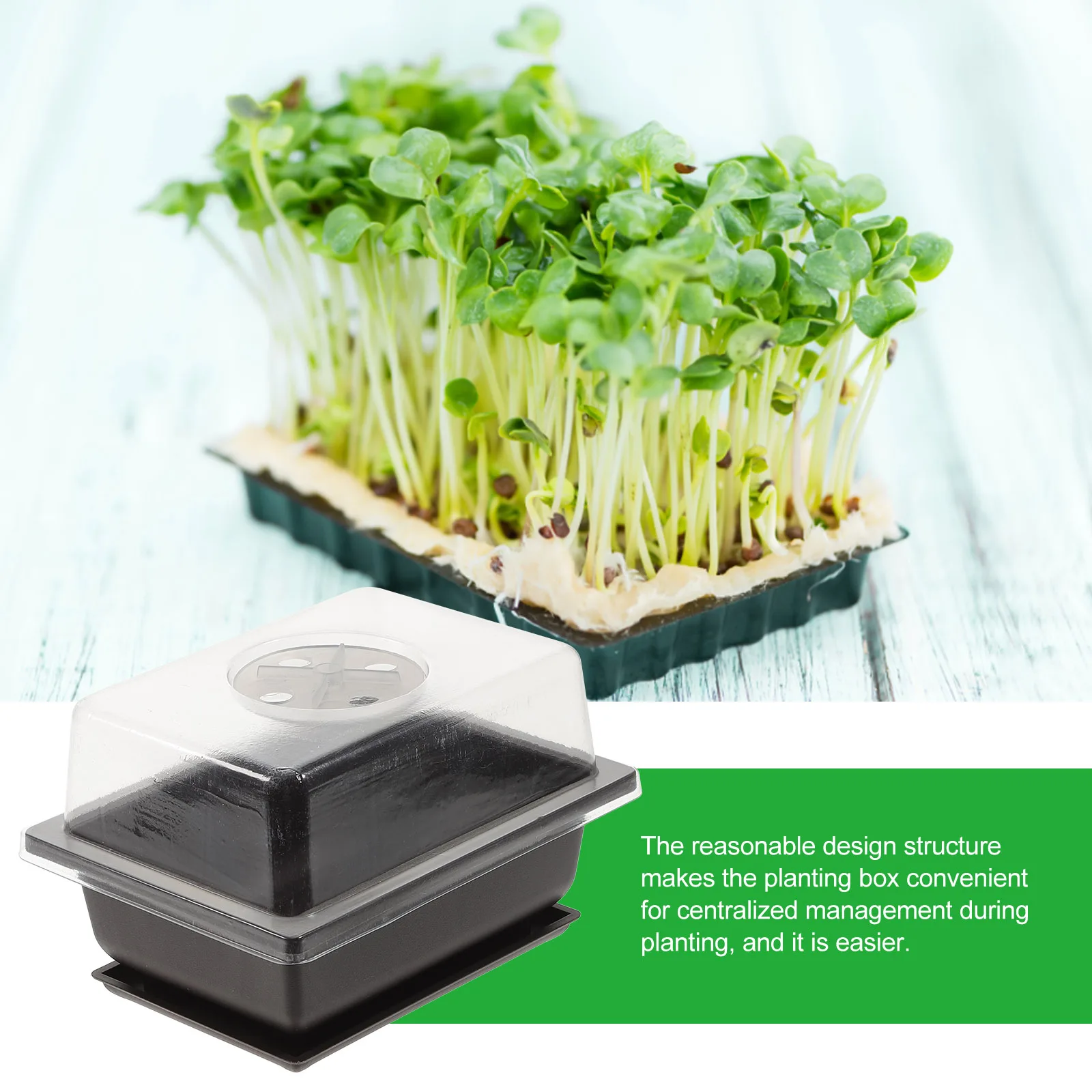 

2 set Plastic Plant Tray 2 Sets Durable Seedling Starter With Transparent Cover For Garden Balcony Hydroponic Growing Succulent