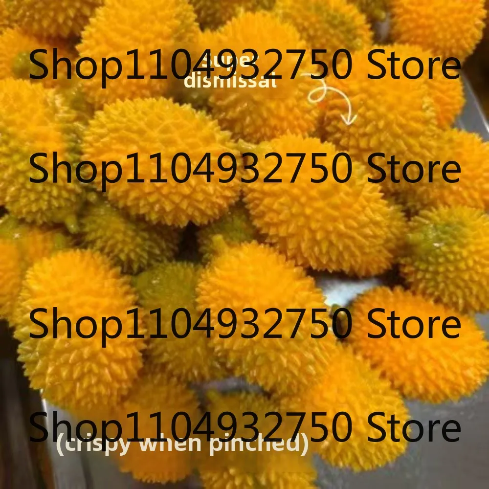 Handmade Crispy durian and dragon fruit Stress Ball Squeeze Toy,  Squishy Fidget Ball, ASMR Sensory  Stress Relief Toy